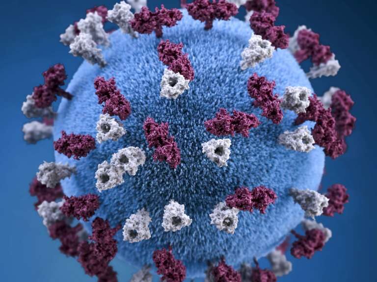 covid-19-coronavirus-covid-cell-pandemic-corona-virus-1608799-pxhere.com