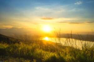 shutterstock_518591641
