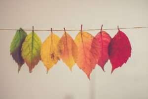 november