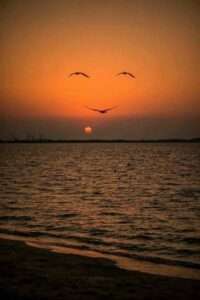 janar keel