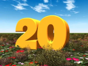 Nädal 20 - Janar Keel