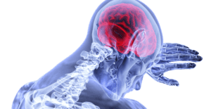 brain-g2559822c5_640-640x330