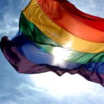 gat, LGBT janar keel