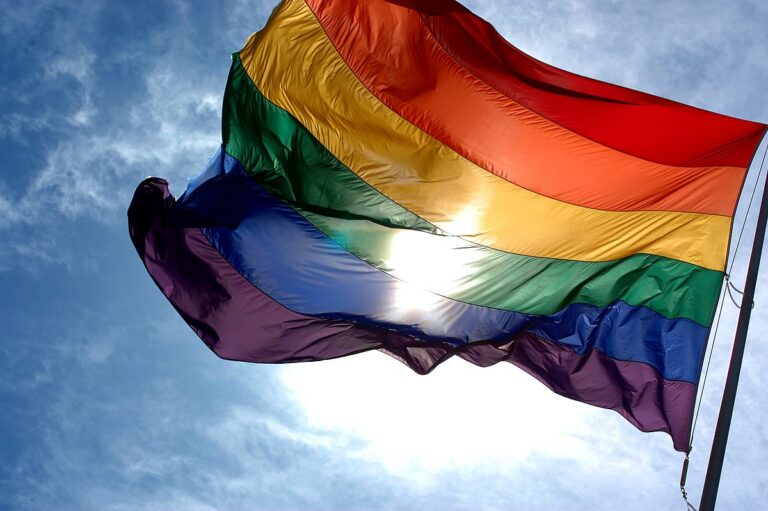 gat, LGBT janar keel