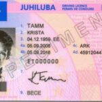 juhiluba janar keel